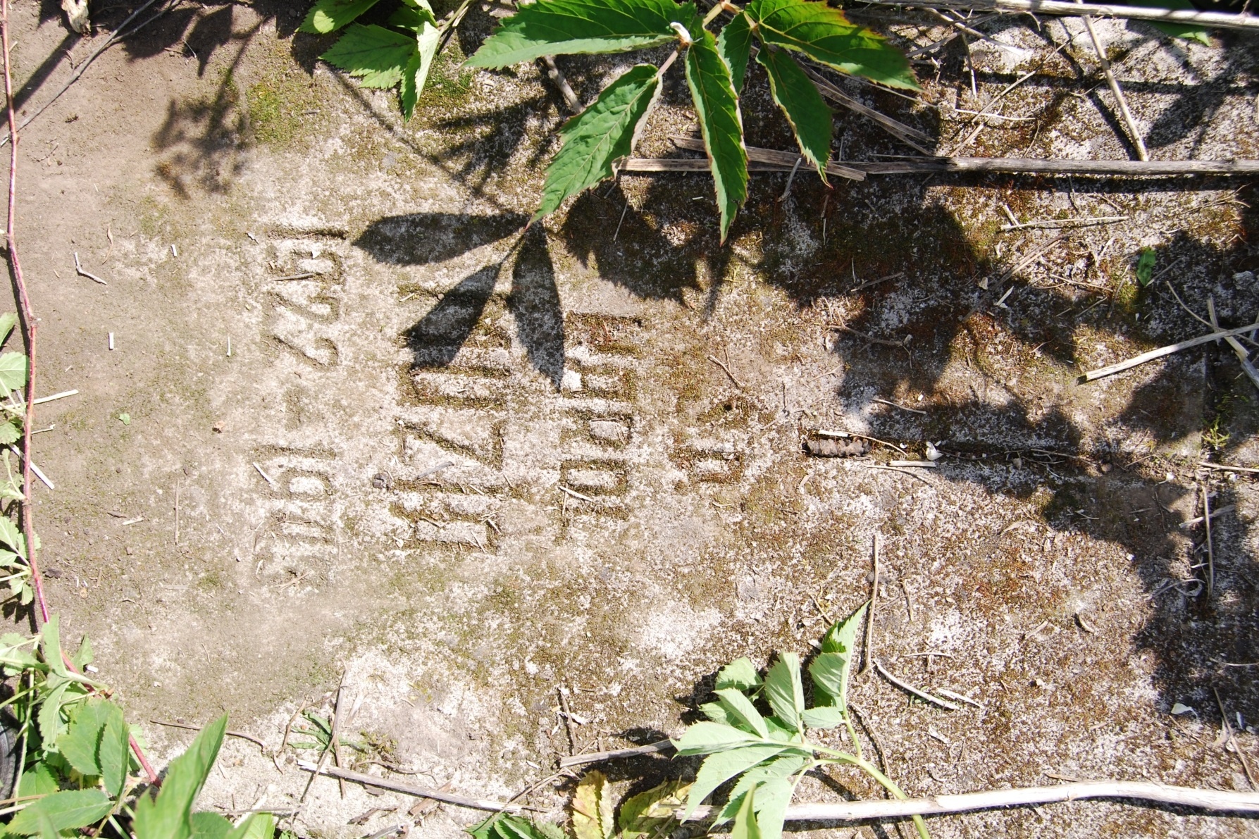 Tombstone of Karol Muzia, Zbarazh cemetery, state of 2018