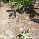 Photo montrant Tombstone of Karol Muzia