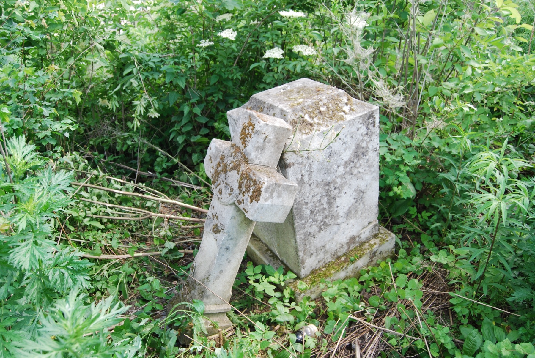 Nagrobek Franciszki Częstochowskiej, cmentarz w Zbarażu, stan z 2018