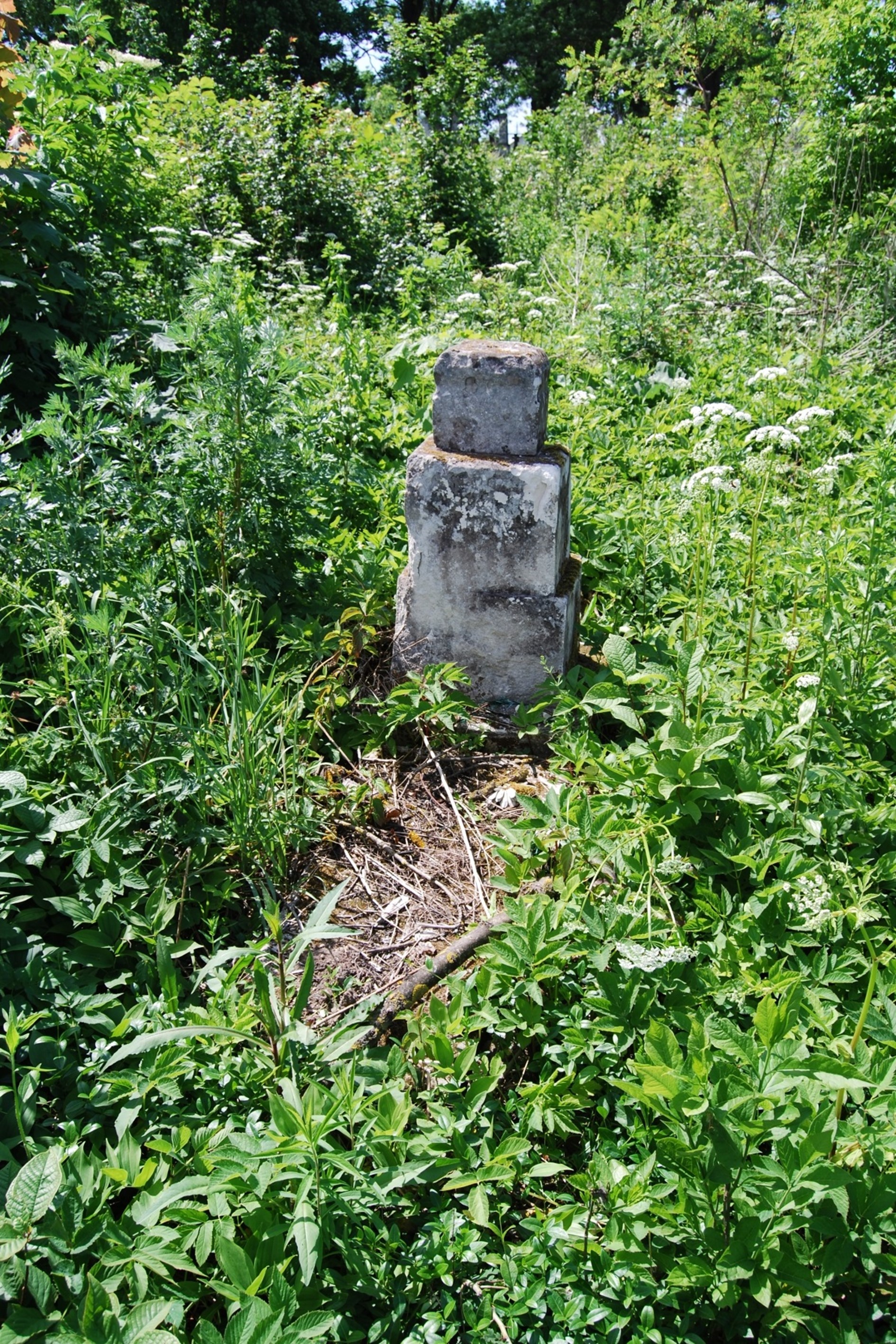 Tombstone of N.N., Zbarazh cemetery, state of 2018