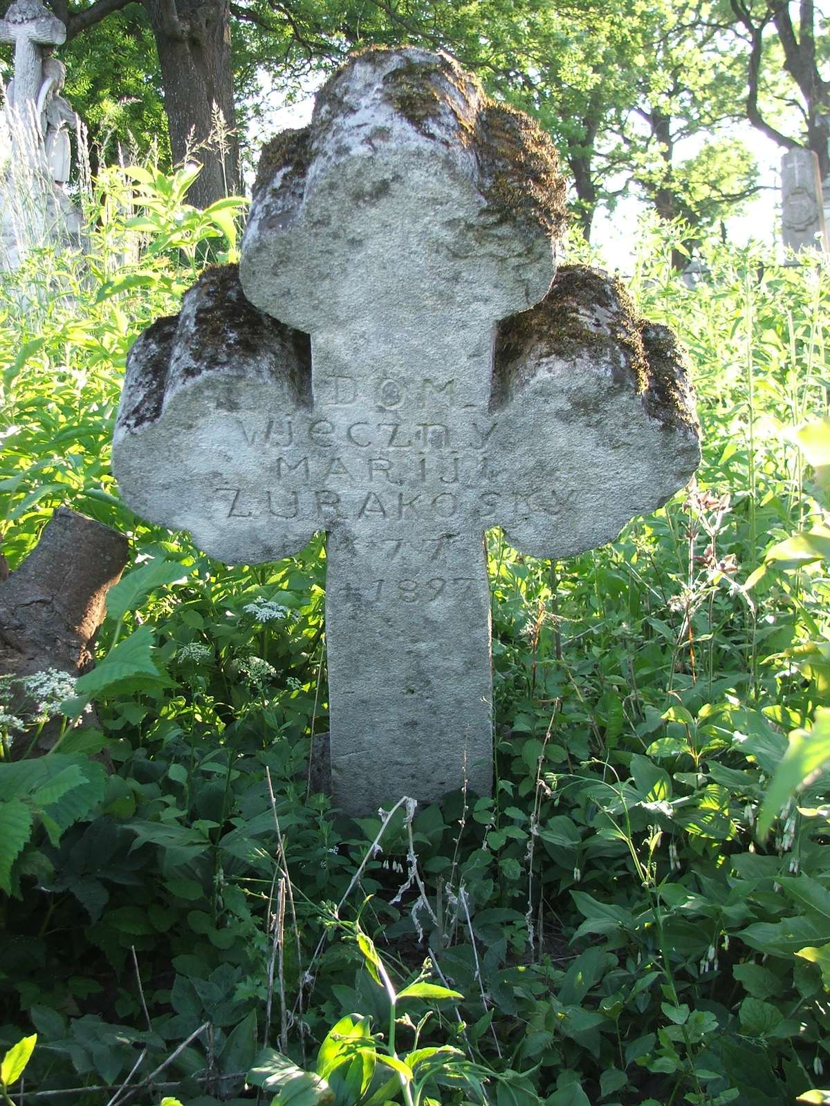 Tombstone of Maria Zhurakosa, Zbarazh cemetery, state of 2018