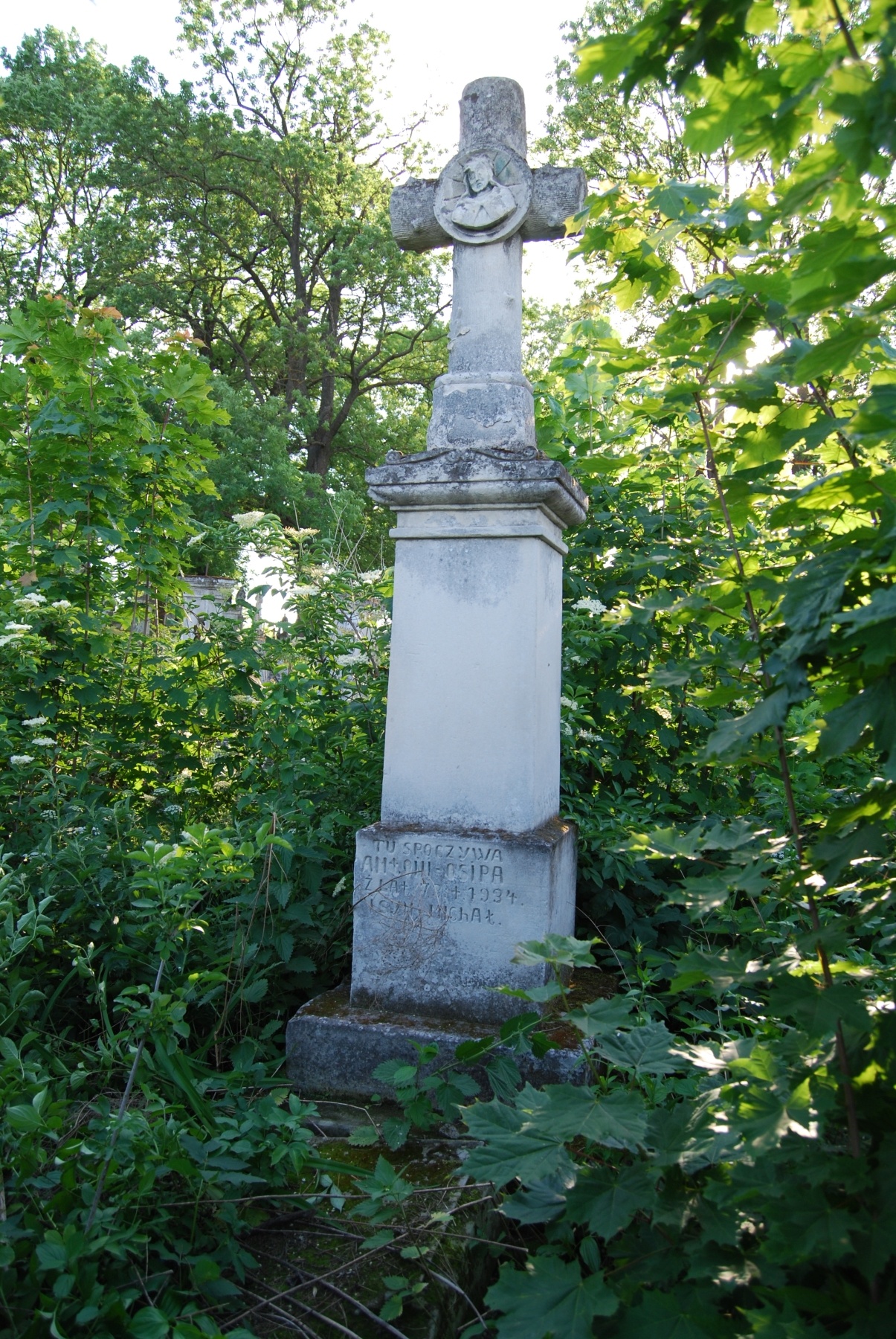 Tombstone of Antoni Osipaż, Zbarazh cemetery, state of 2018