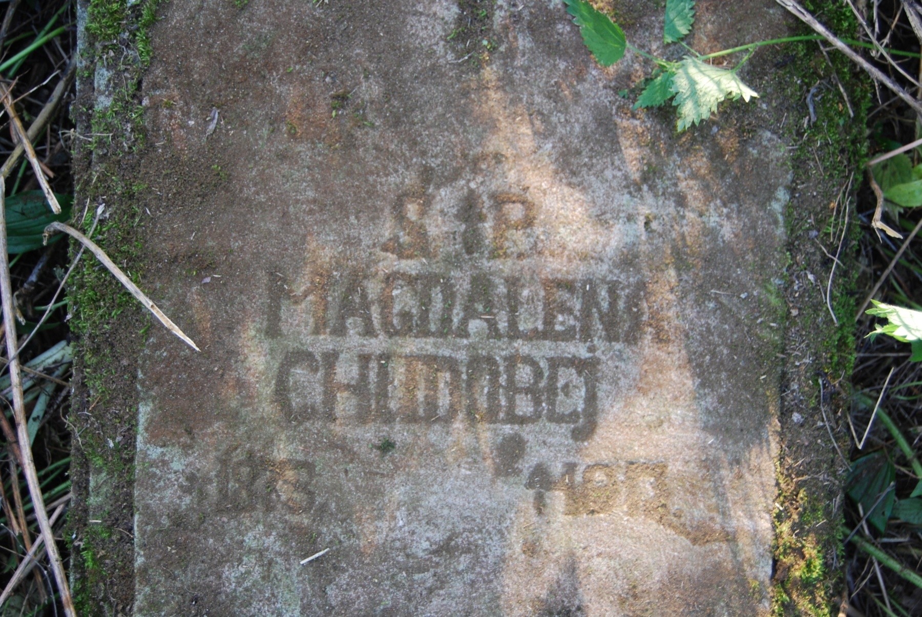 Fragment nagrobka Magdaleny Chudowej, cmentarz w Zbarażu, stan z 2018