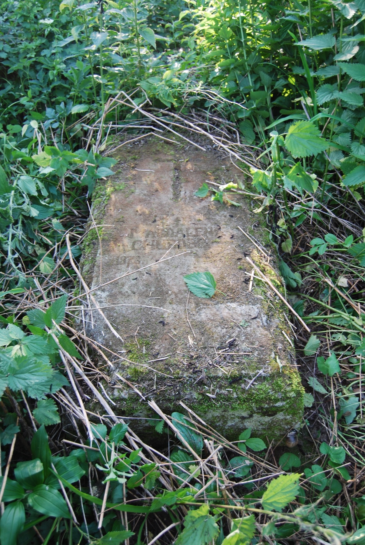 Nagrobek Magdaleny Chudowej, cmentarz w Zbarażu, stan z 2018