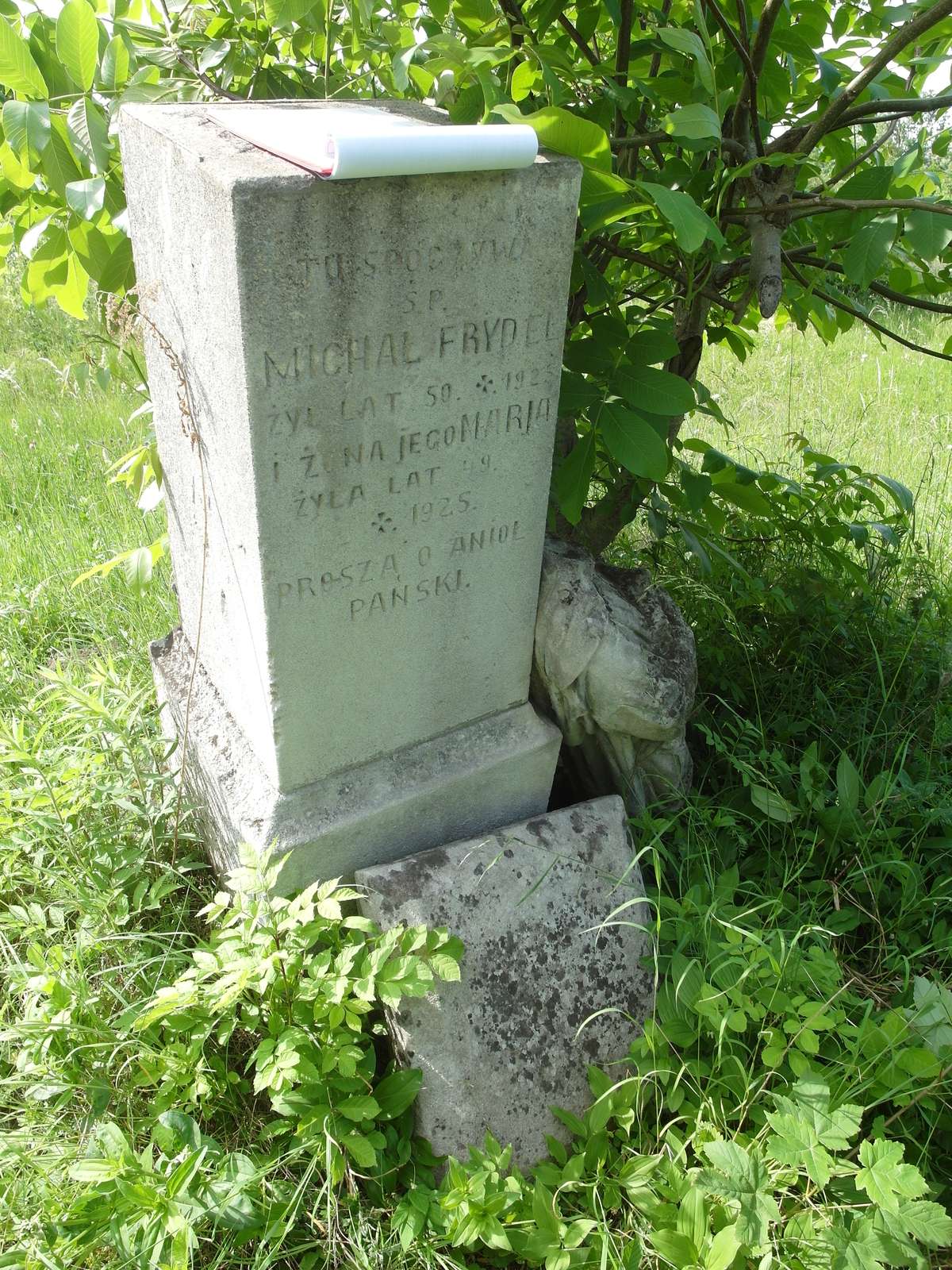 Nagrobek Michała i Marii Frydel, cmentarz w Zbarażu, stan z 2018 r.
