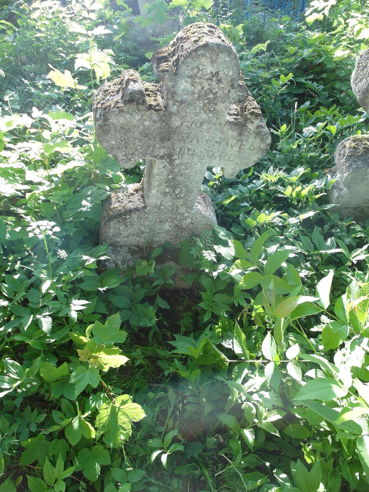Nagrobek Pawła Winnickiego, cmentarz w Zbarażu, stan z 2018