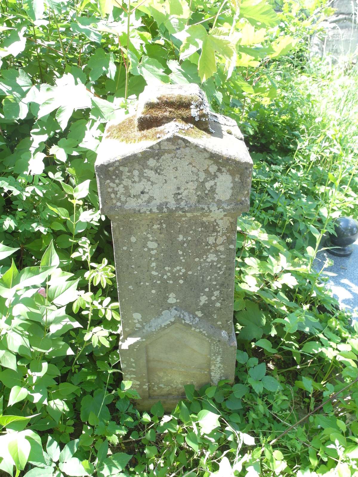 Tombstone of Petronela Dziedzic, Zbarazh cemetery, as of 2018.