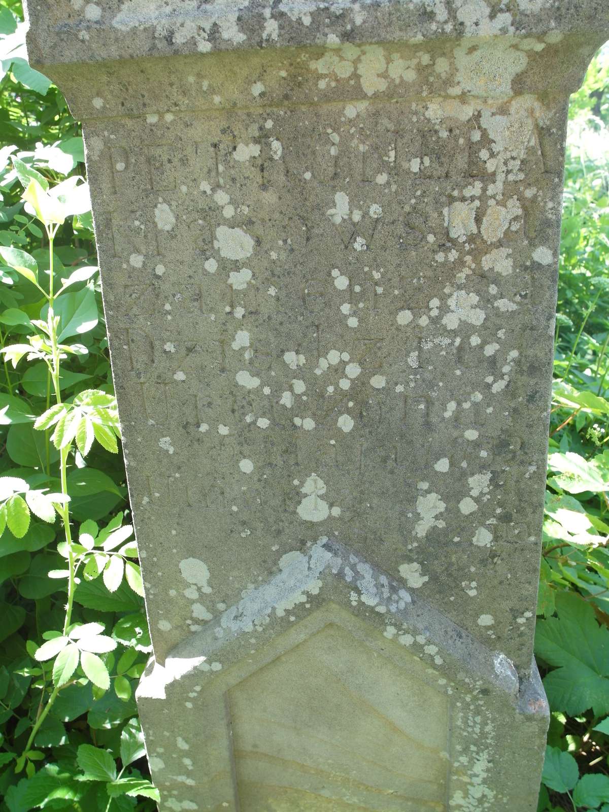 Tombstone of Petronela Dziedzic, Zbarazh cemetery, as of 2018.