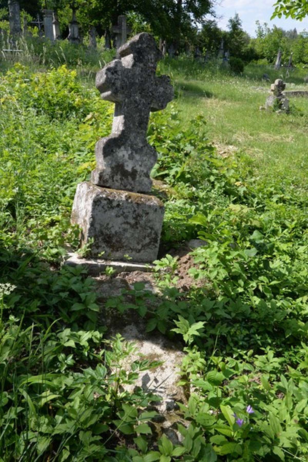 Tombstone of Rozalia Dowhan, Zbarazh cemetery, state of 2018