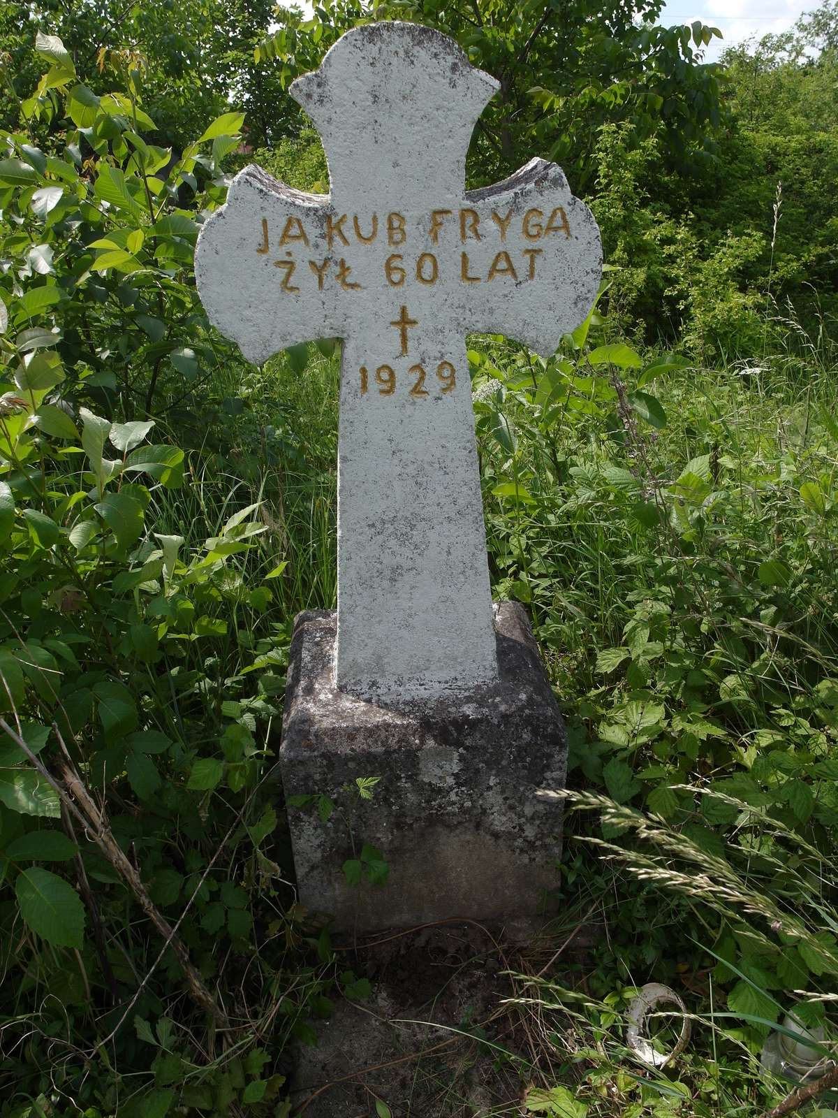 Tombstone of Jakub Fryga, Zbarazh cemetery, as of 2018.