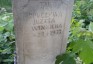 Photo showing Tombstone of Józefa Winnicka