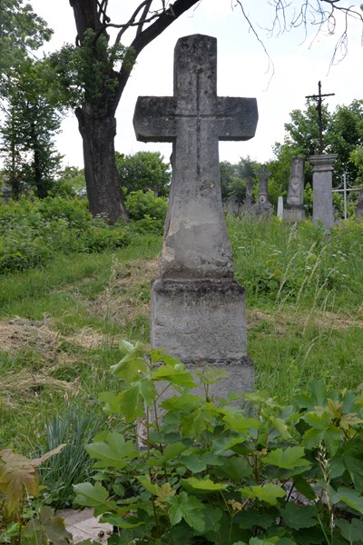 Tombstone of Ludwik Ładusiewicz, cemetery in Zbaraż, state of 2018