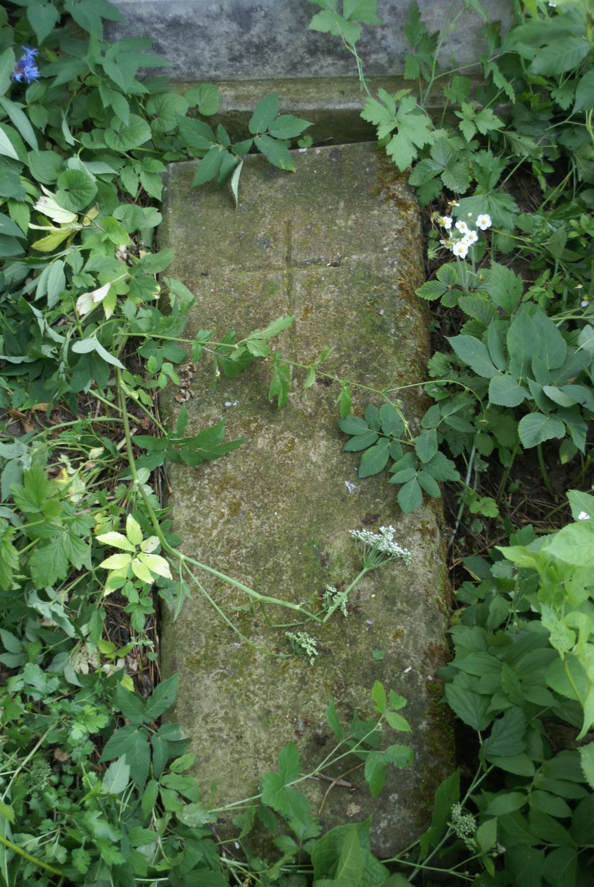 Fragment nagrobka Tomasza Nowaka, cmentarz w Zbarażu, stan z 2018 roku
