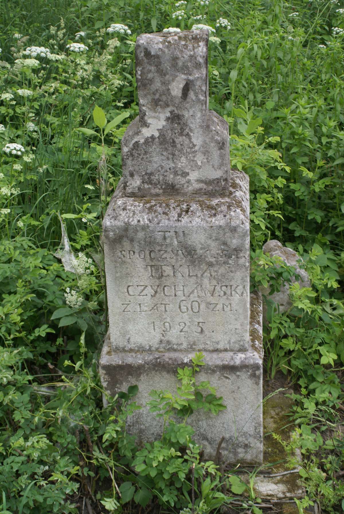 Tombstone of Tekla Czychawska, Zbarazh cemetery, state of 2018