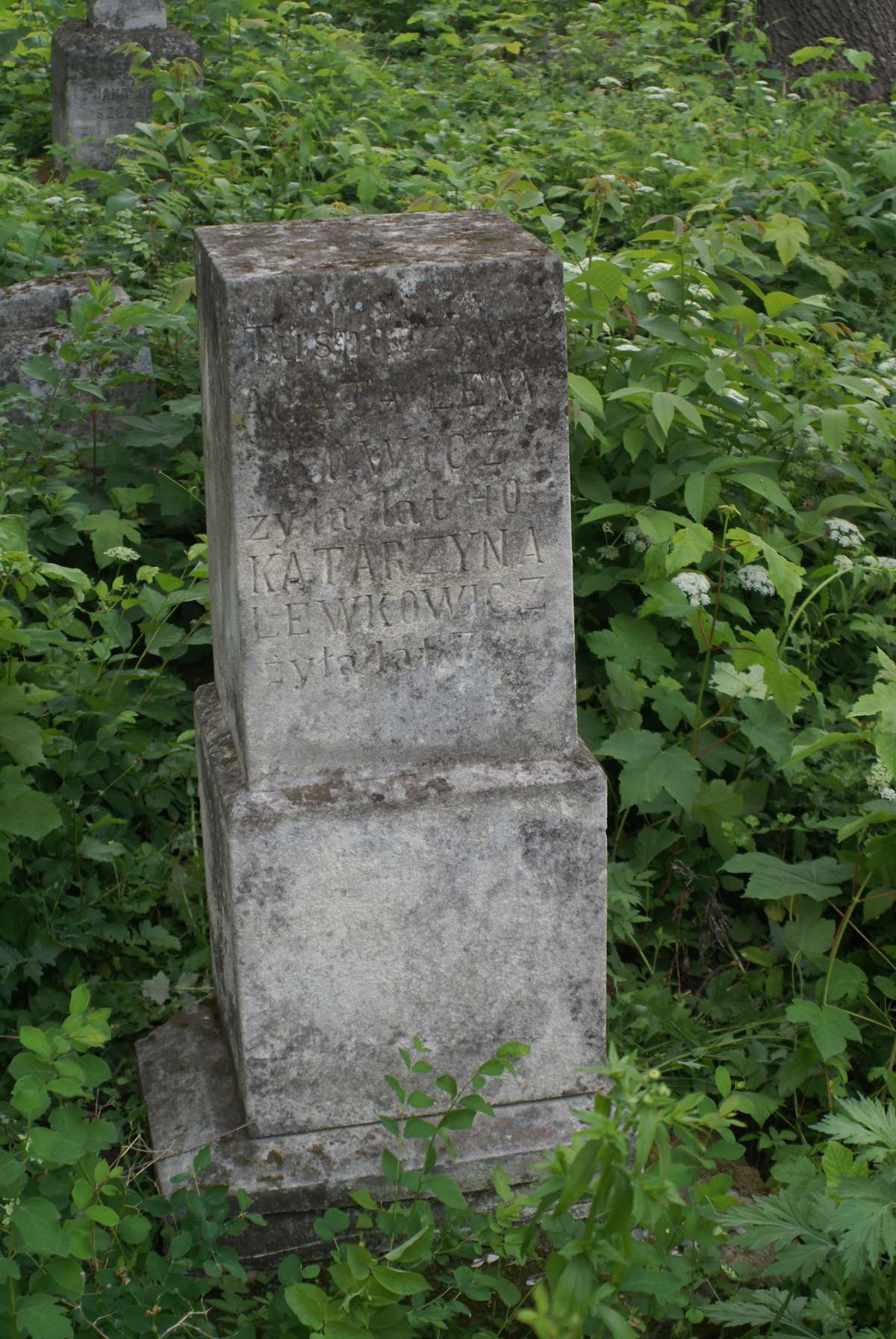 Tombstone of Agata and Katarzyna Lewkowicz, Zbarazh cemetery, state of 2018