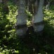 Fotografia przedstawiająca Nagrobek Pulonii N.N.