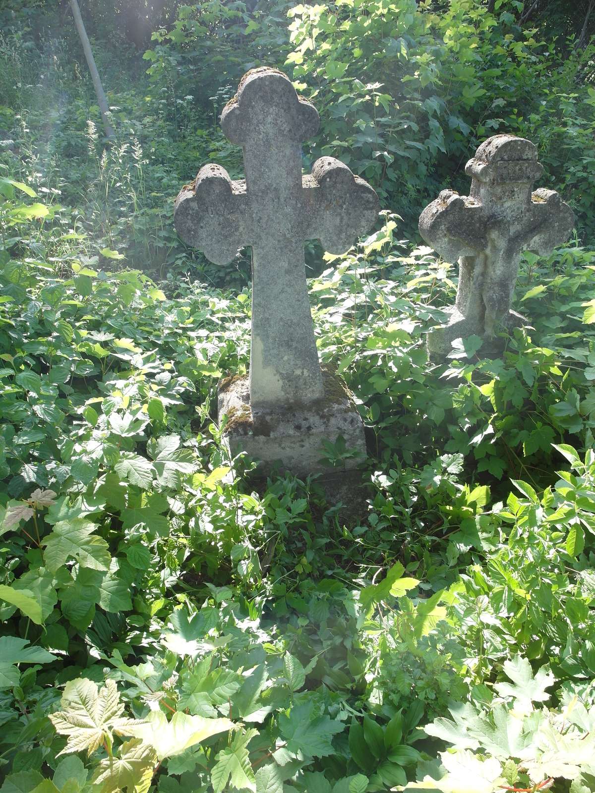 Marya Szustakowska's tombstone, Zbarazh cemetery, as of 2018.