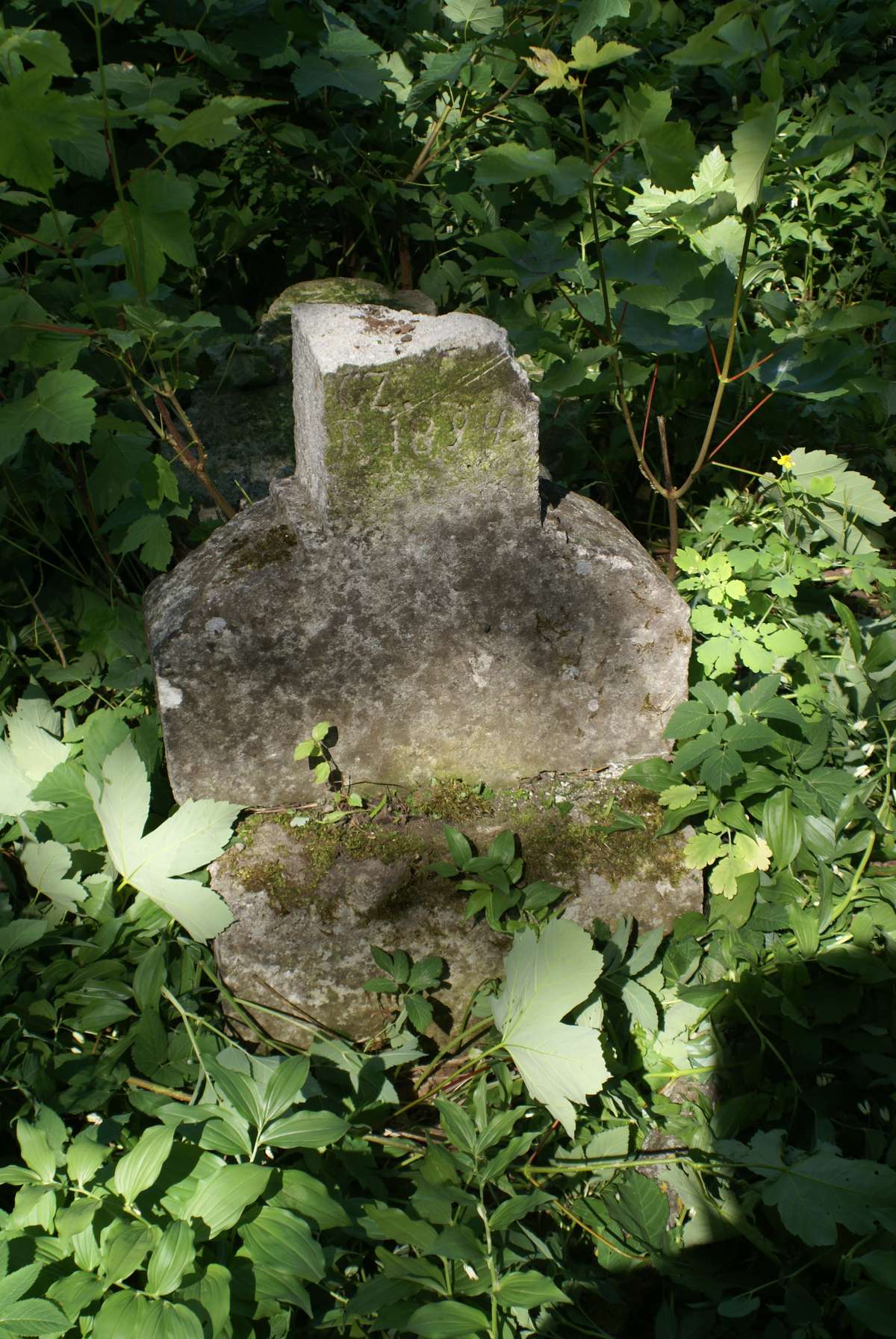 Tombstone of Grzegorz Stankiewicz, Zbarazh cemetery, state of 2018