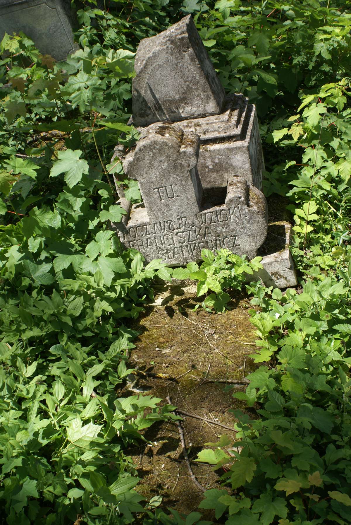 Tombstone of Franciszek Stankiewicz, Zbarazh cemetery, as of 2018