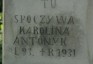 Photo montrant Tombstone of Karolina Antonyk