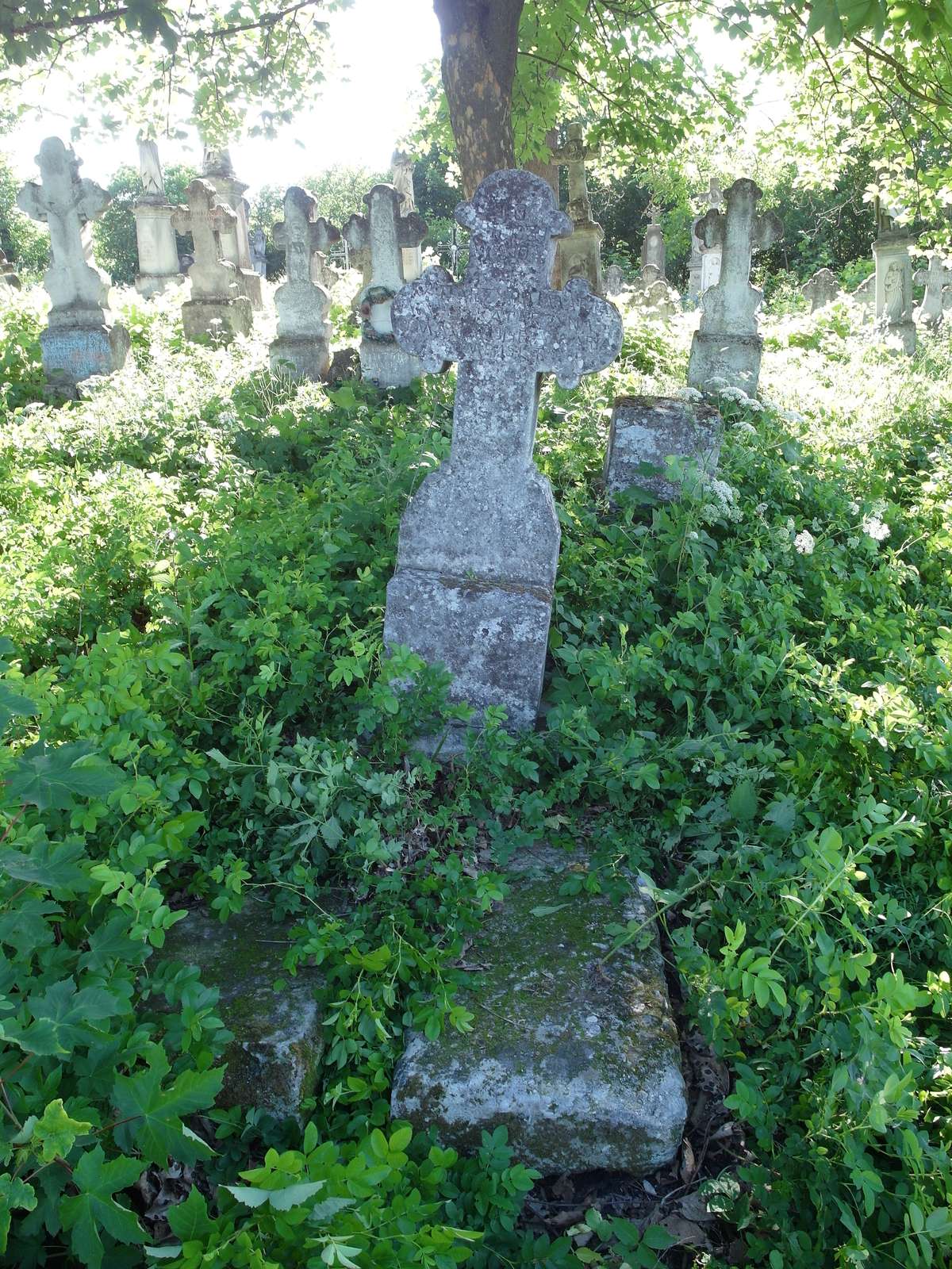 Tombstone of Katarzyna and Maria Jagyllo, Zbarazh cemetery, as of 2018.