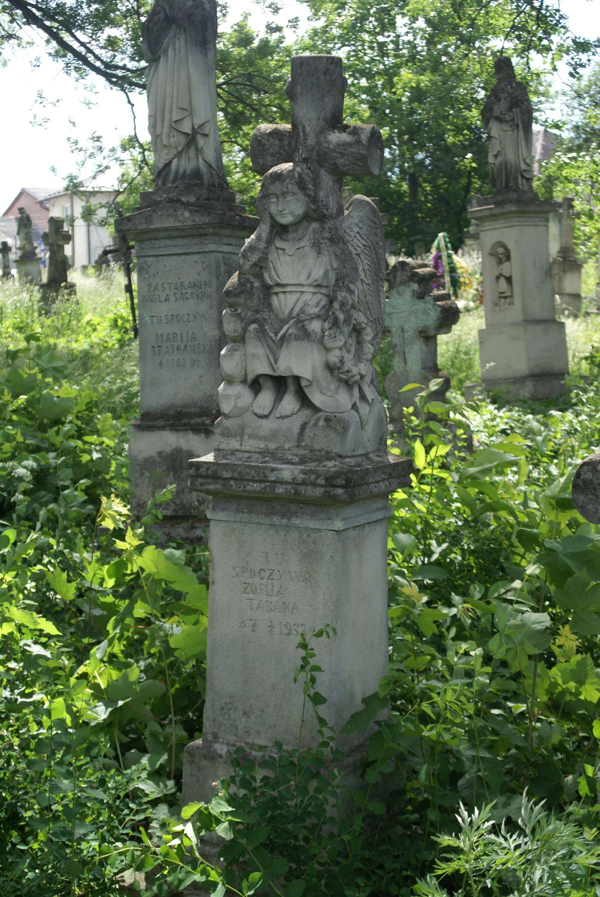 Tombstone of Zofia Tabaka, Zbarazh cemetery, state of 2018