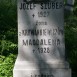 Photo montrant Tombstone of the Szuber family