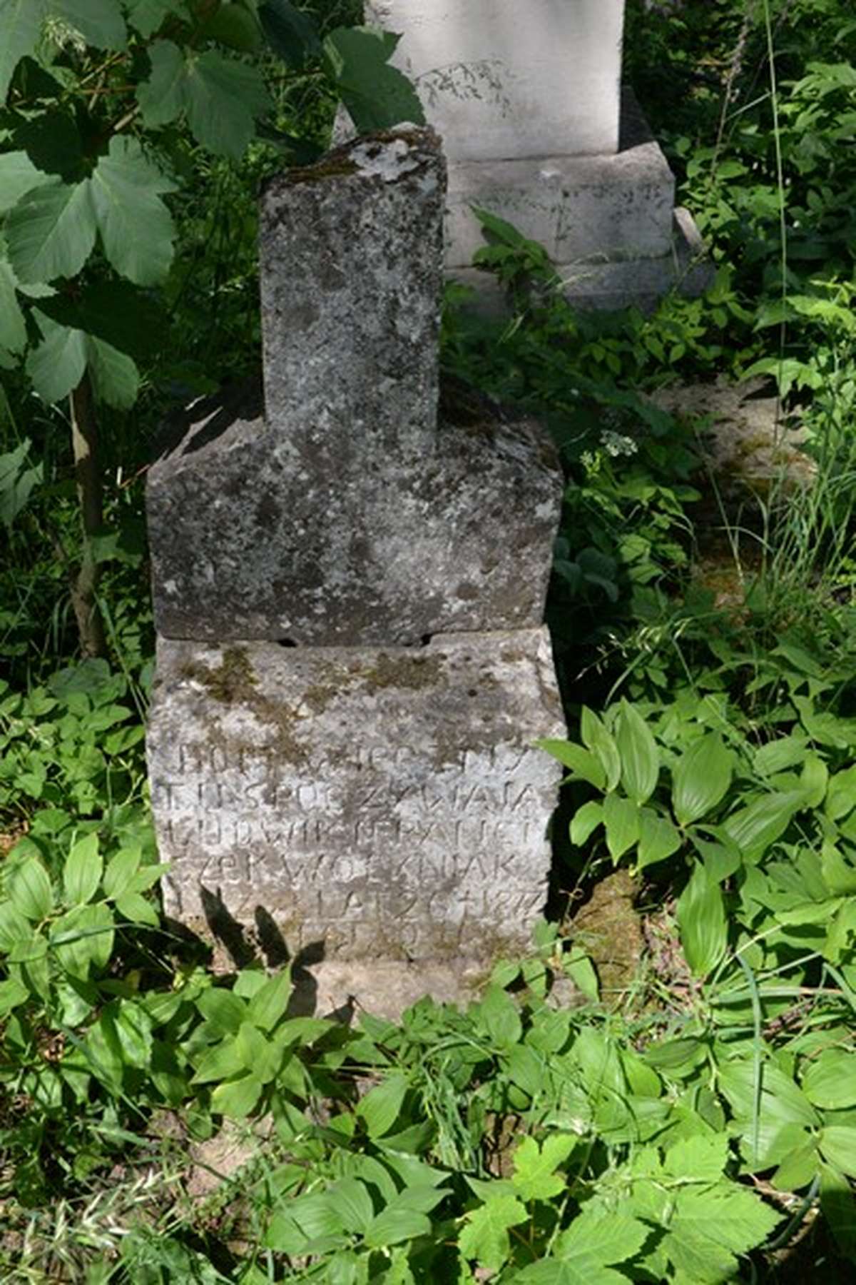 Tombstone of Franciszek and Ludwik Wolyniak, cemetery in Zbarazh, state of 2018