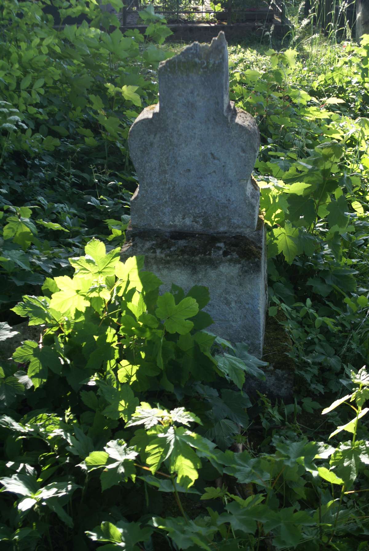 Tombstone of N.N., Zbarazh cemetery, state of 2018