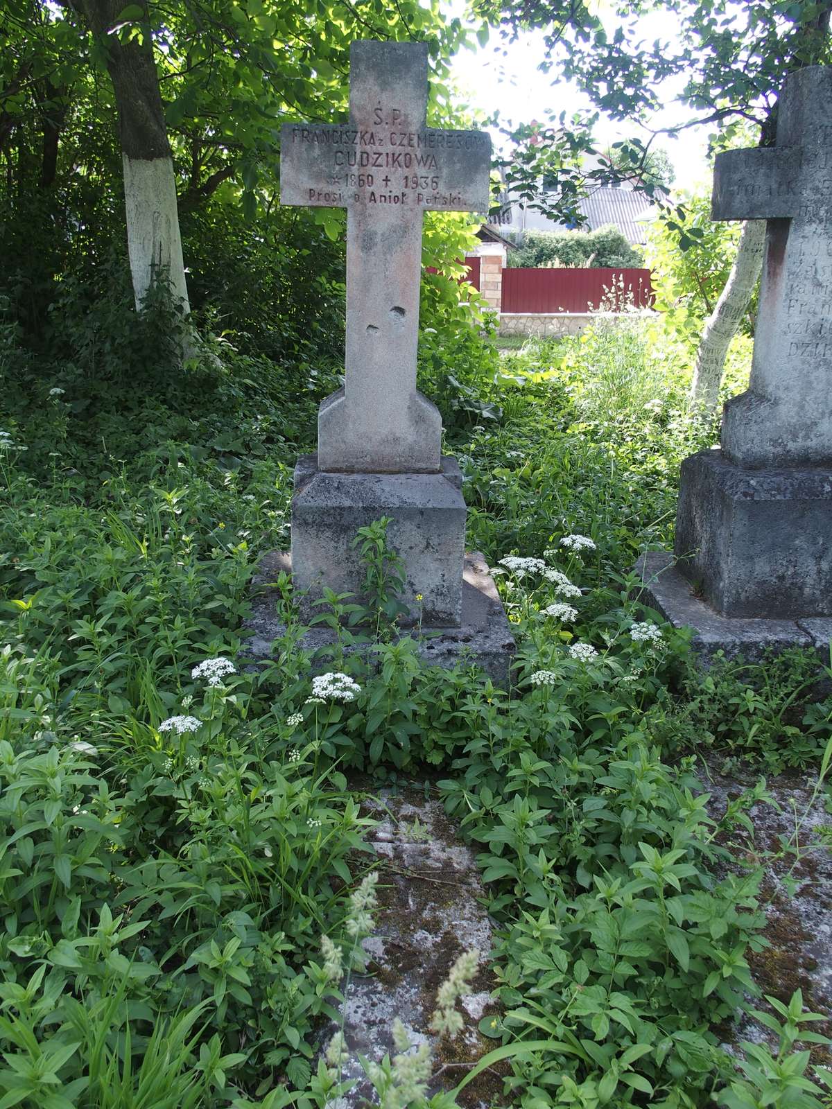 Nagrobek Franciszki Cudzikowej, cmentarz zbaraski, stan przed 2018