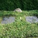 Fotografia przedstawiająca Grave of 21 Polish citizens