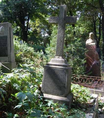 Nagrobek Witolda Syrokomskiego