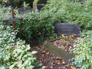 Nagrobek Aureliusza Pudana, Kazimierza Seliszko i rodziny Seliszko