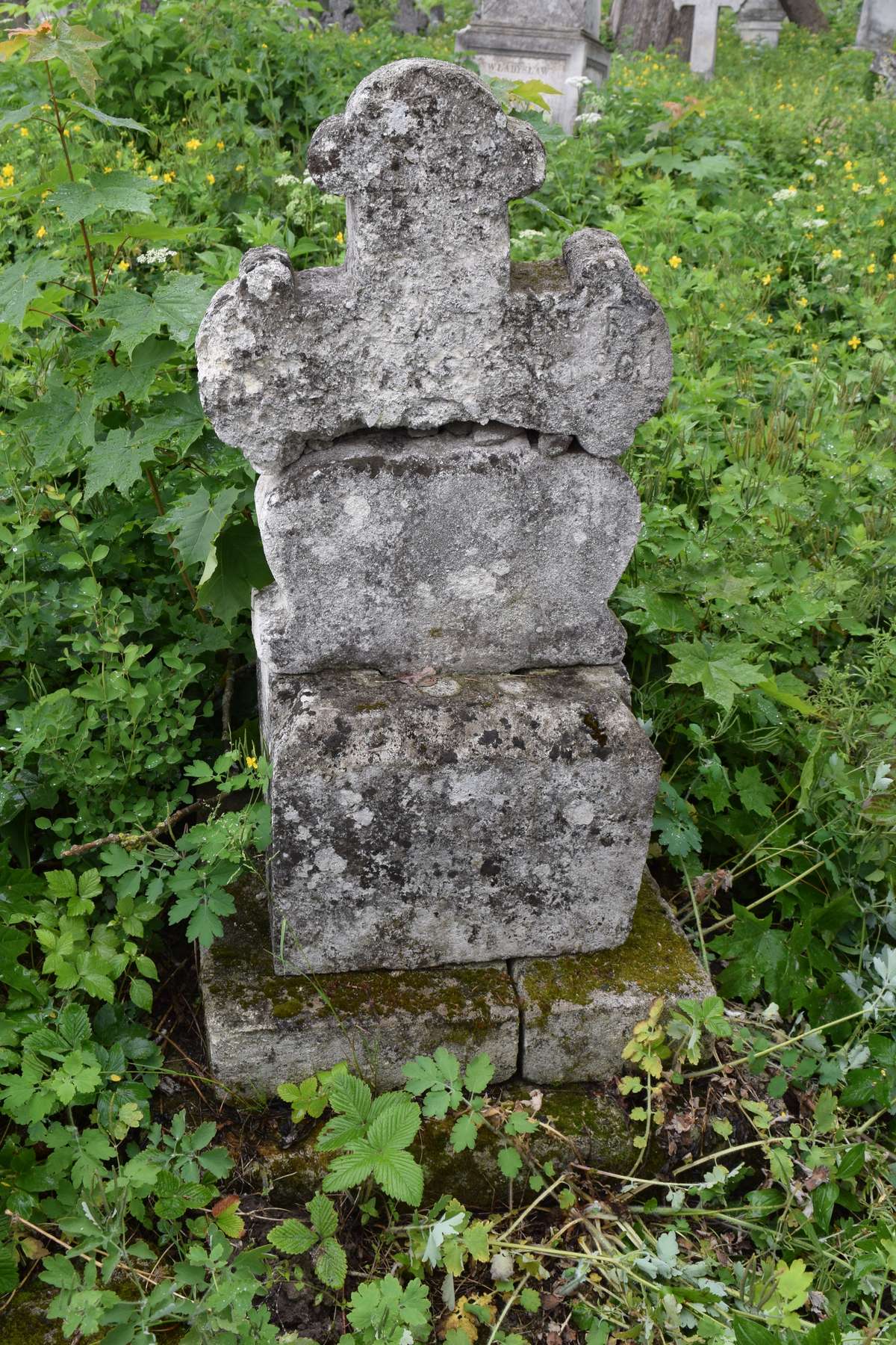 Tombstone of N.N., Zbarazh cemetery, state of 2018