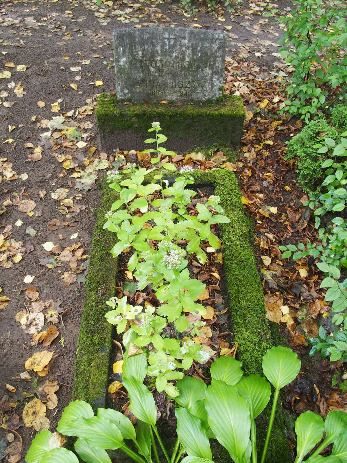Tombstone of Anna Miszyn and Antoni Miszyn