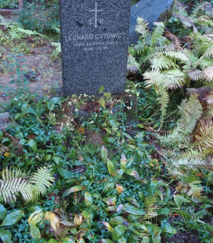 Nagrobek Leonarda Cytowicza