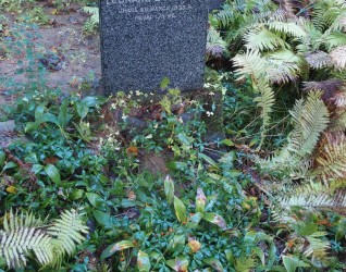 Nagrobek Leonarda Cytowicza