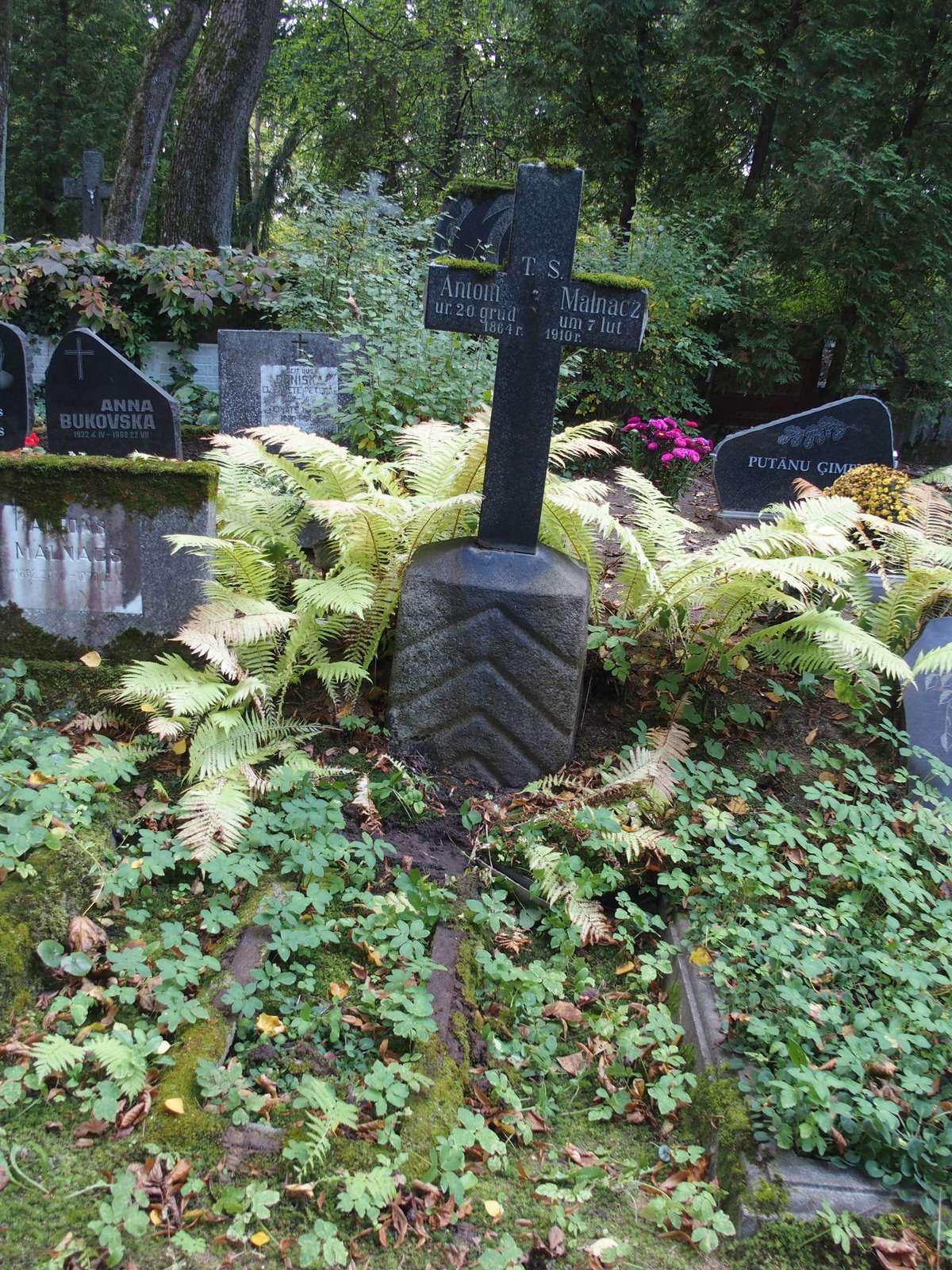 Tombstone of Antoni Malnacz