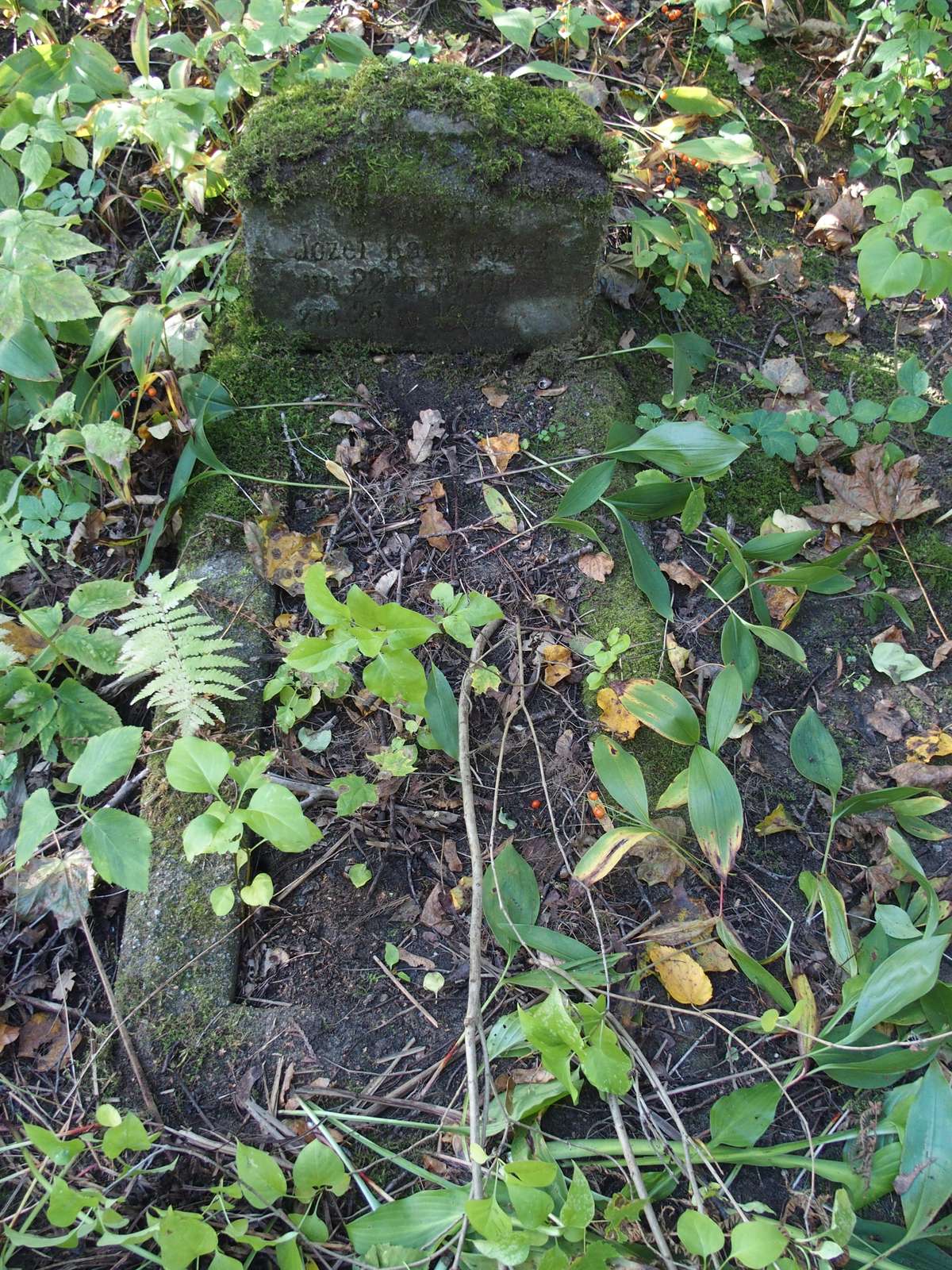 Photo montrant Tombstone of Jozef Karulewicz