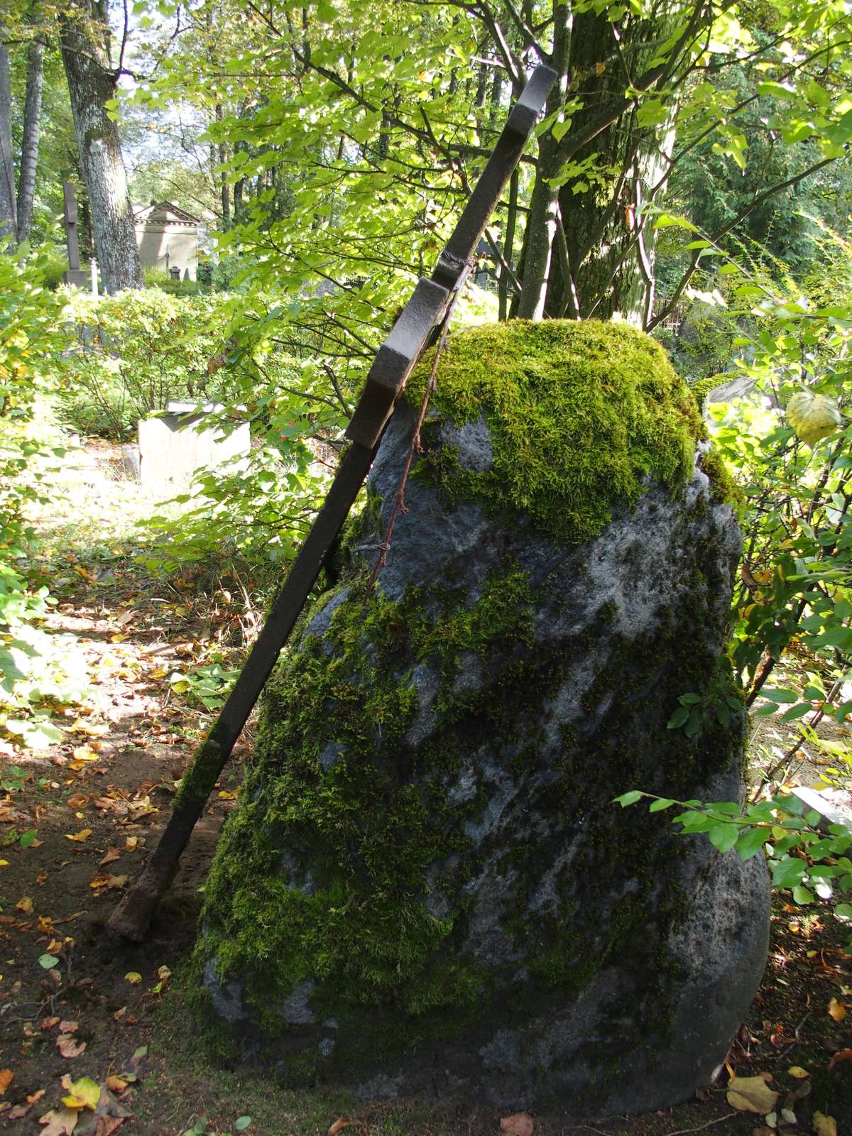 Tombstone of Alexander Twardomansky