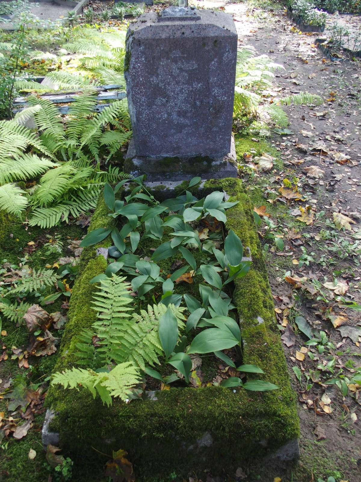 Tombstone of Franciszek Szeniawski