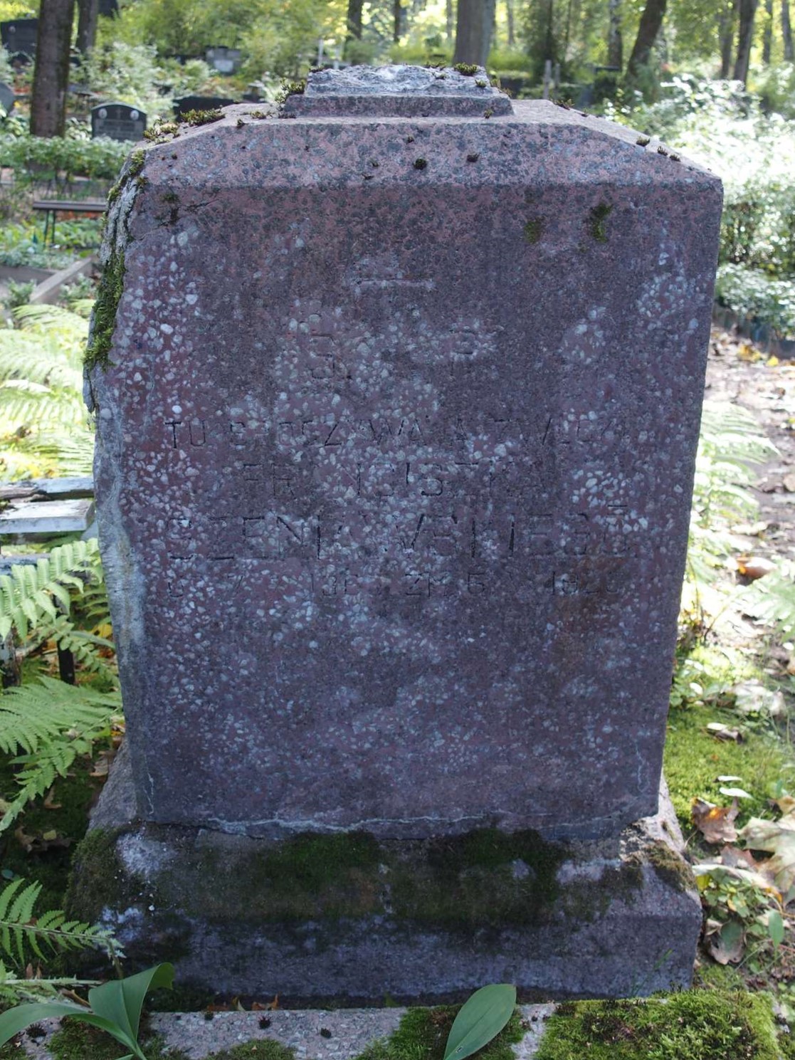 Tombstone of Franciszek Szeniawski