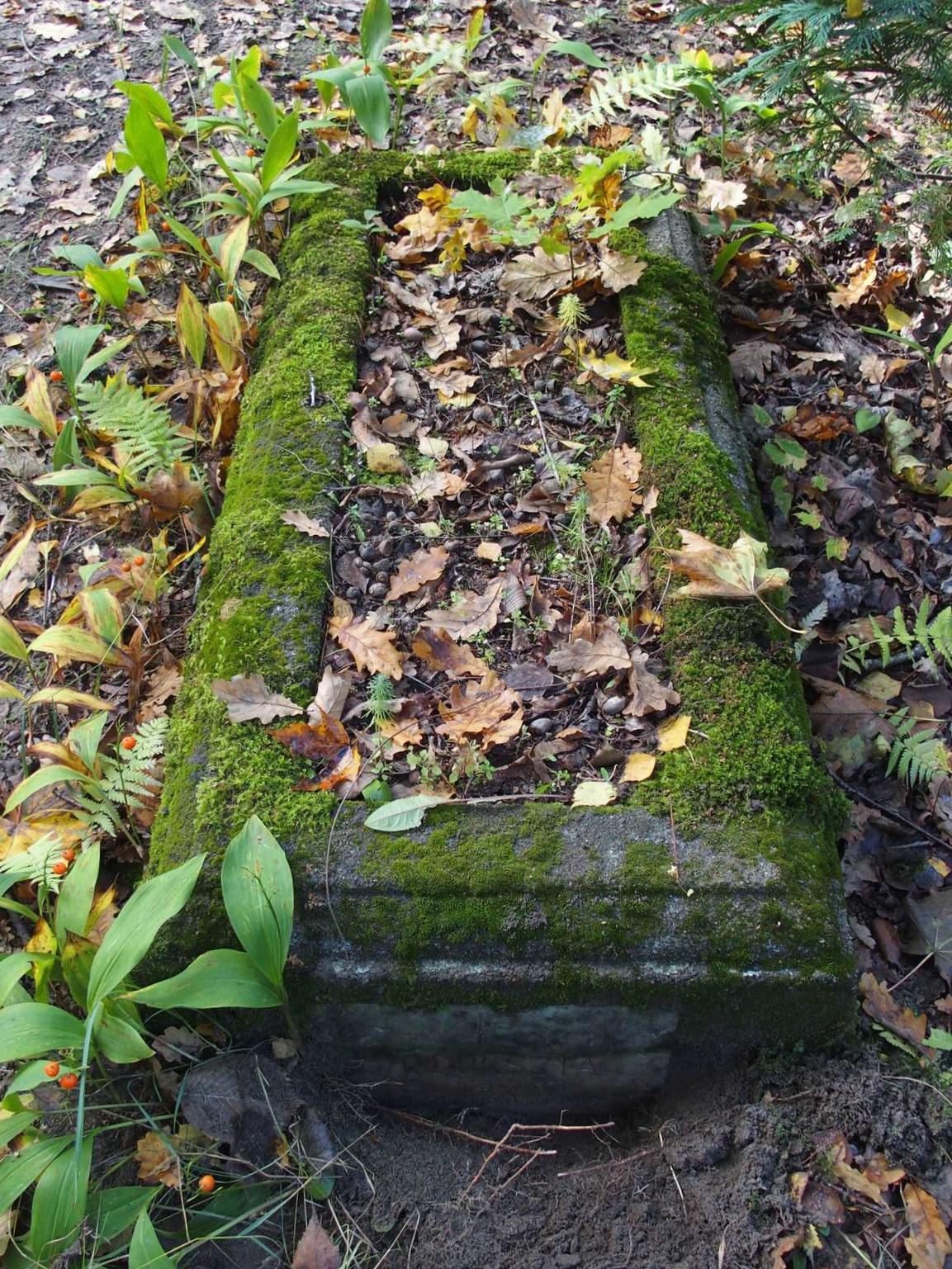 Tombstone of E. Dukszta