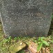 Photo montrant Tombstone of Wanda Puchaczewska