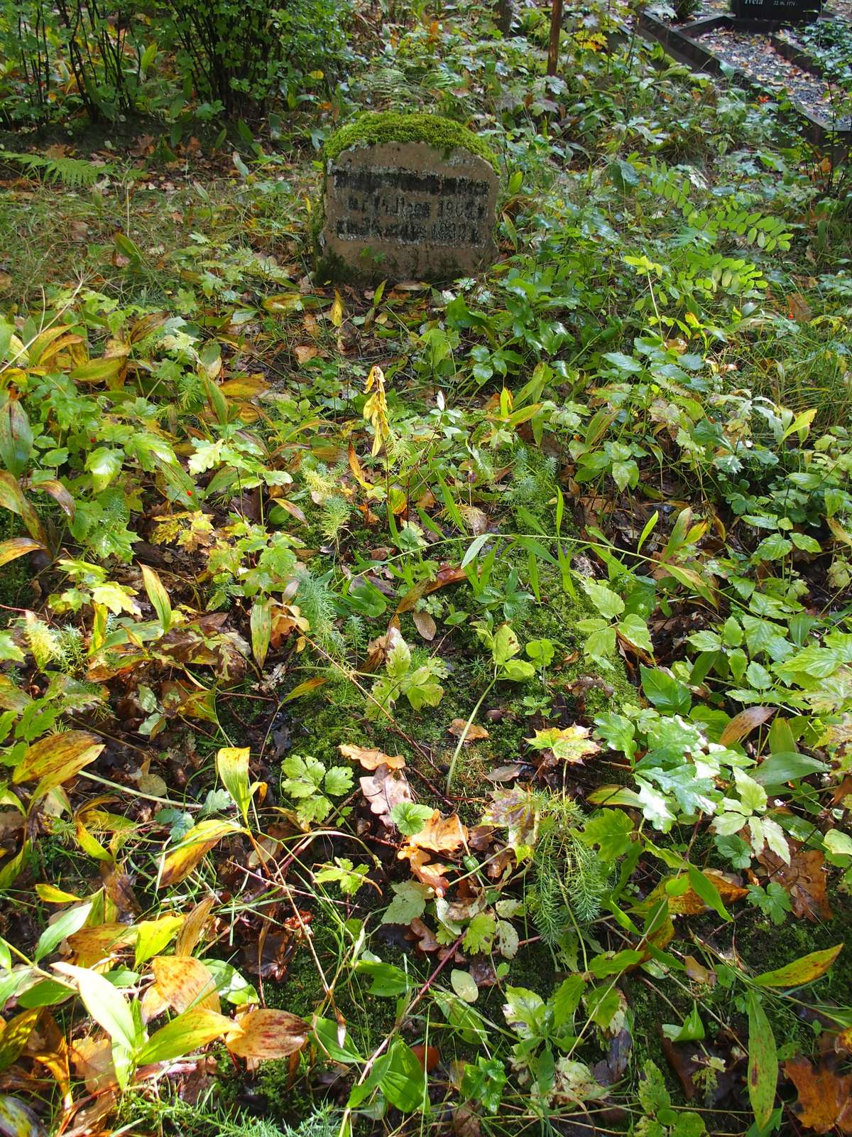 Tombstone of Maria Volodkovich