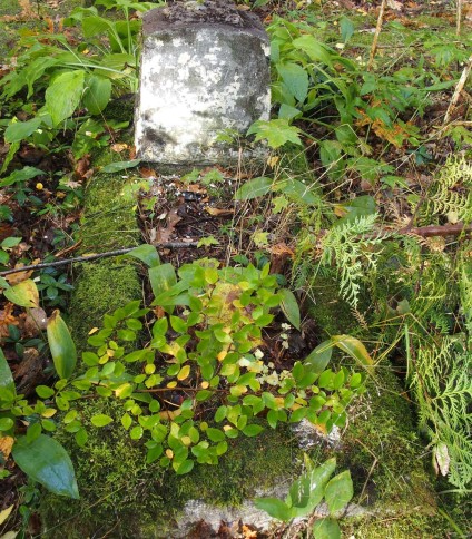 Nagrobek Malwiny Wisockiej