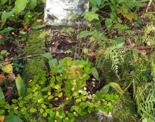 Nagrobek Malwiny Wisockiej