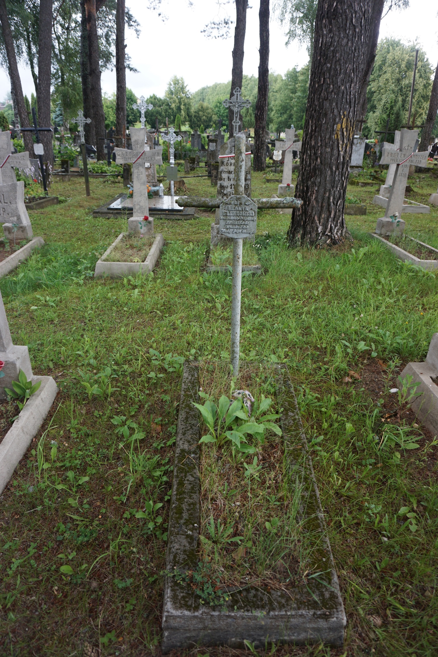Fotografia przedstawiająca Groby Polaków zamordowanych w czasie II wojny światowej