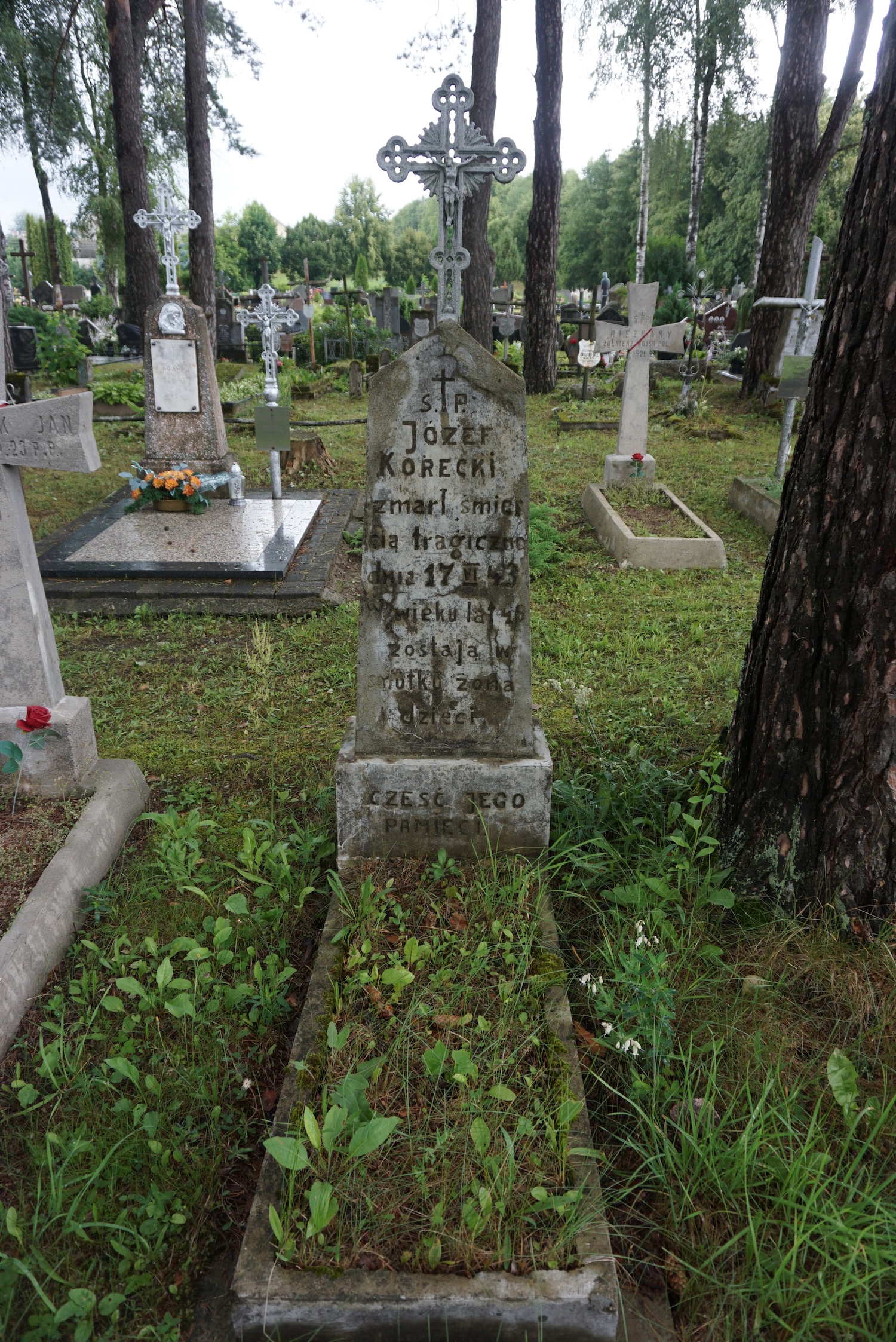 Fotografia przedstawiająca Groby Polaków zamordowanych w czasie II wojny światowej