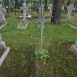 Fotografia przedstawiająca Groby Polaków zamordowanych w czasie II wojny światowej